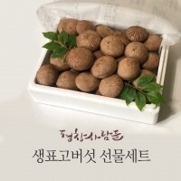 송향고버섯 선물세트