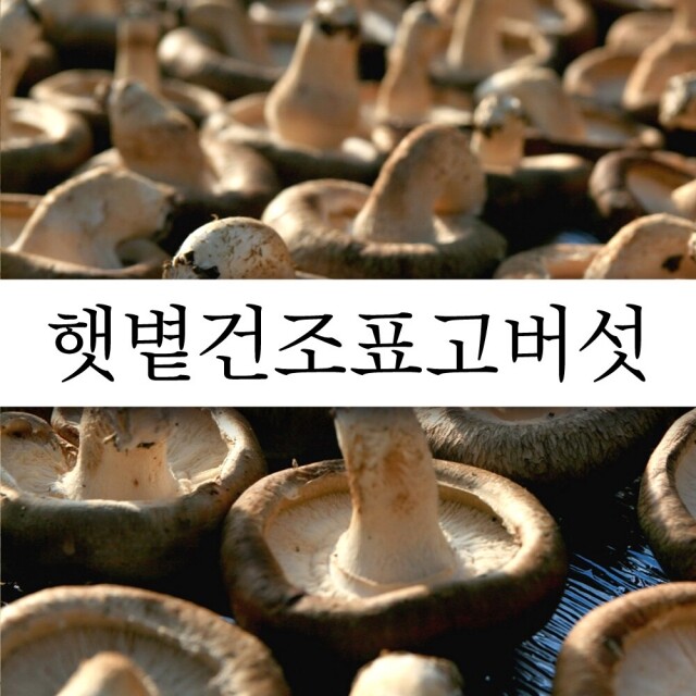 {평창사람들},{평창표고버섯}, 표고버섯, 생표고버섯, 생표고, 건표고버섯, 건표고, 표고버섯가루, 평창표고버섯, 평창사람들, 평창표고, 목이버섯, 모기버섯, 목이, 송향고, 송향고버섯
