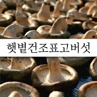 햇볕건조 표고버섯