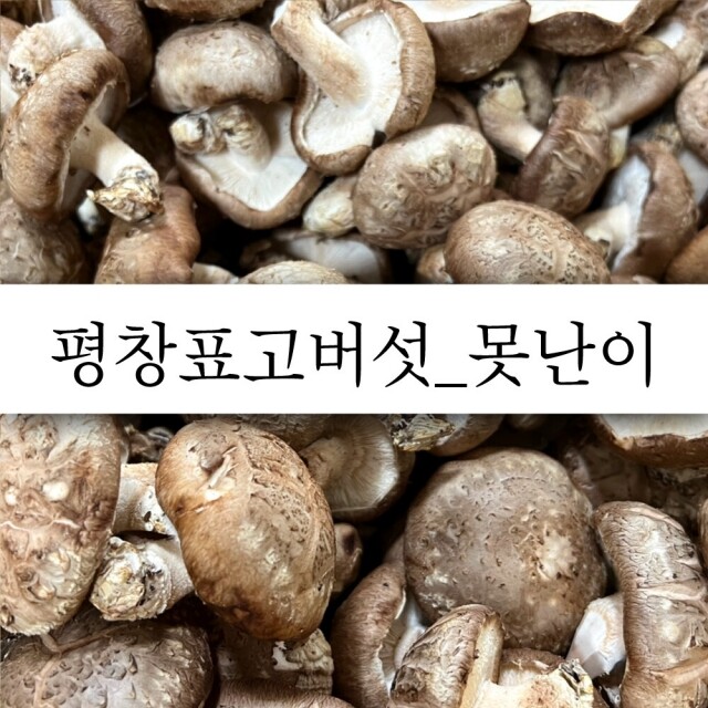 {평창사람들},{평창표고버섯}, 표고버섯, 생표고버섯, 생표고, 건표고버섯, 건표고, 표고버섯가루, 평창표고버섯, 평창사람들, 평창표고, 목이버섯, 모기버섯, 목이, 송향고, 송향고버섯
